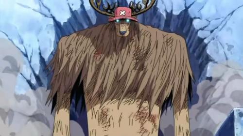 为何这么多女孩子喜欢《海贼王》里的乔巴?