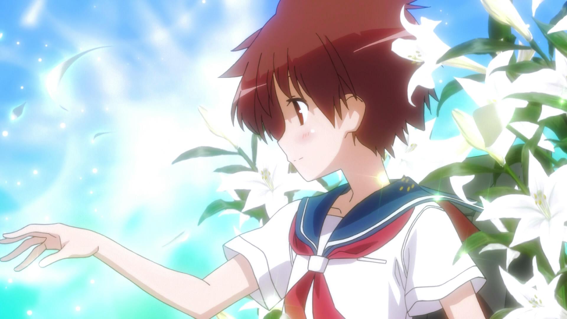 百合番定义的底线是什么