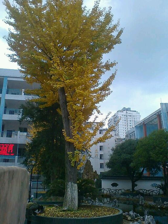 在都匀三中就读是一种怎样的体验?