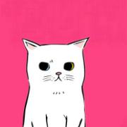 Zhihu profile picture for @jessi