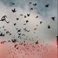 Zhihu profile picture for @harder