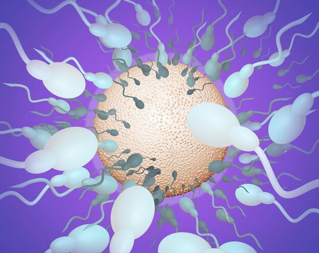 精子活力低下与不育症