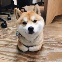 Zhihu profile picture for @econ