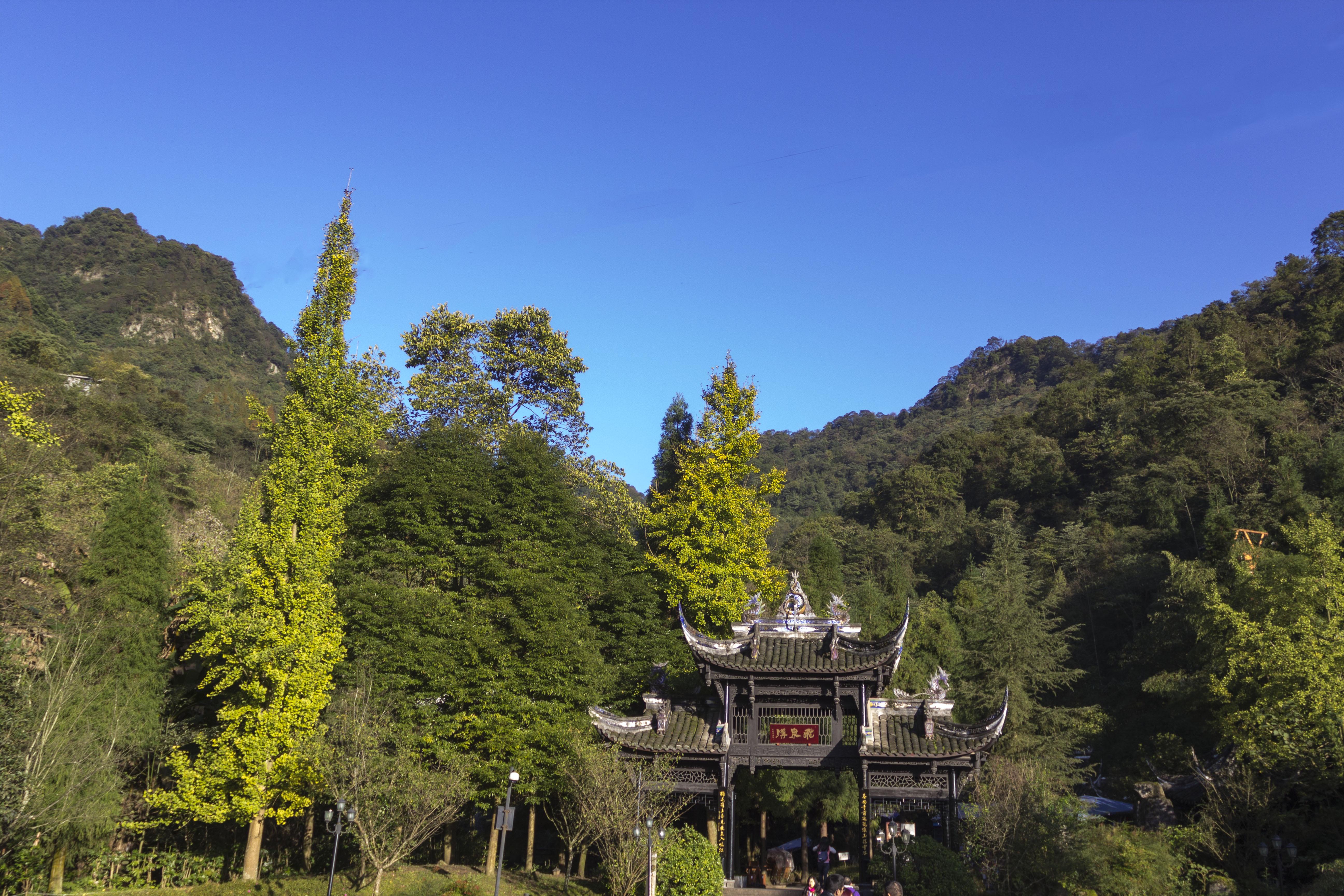 请问青城山前山好看还是后山好看?