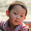 Zhihu profile picture for @honi