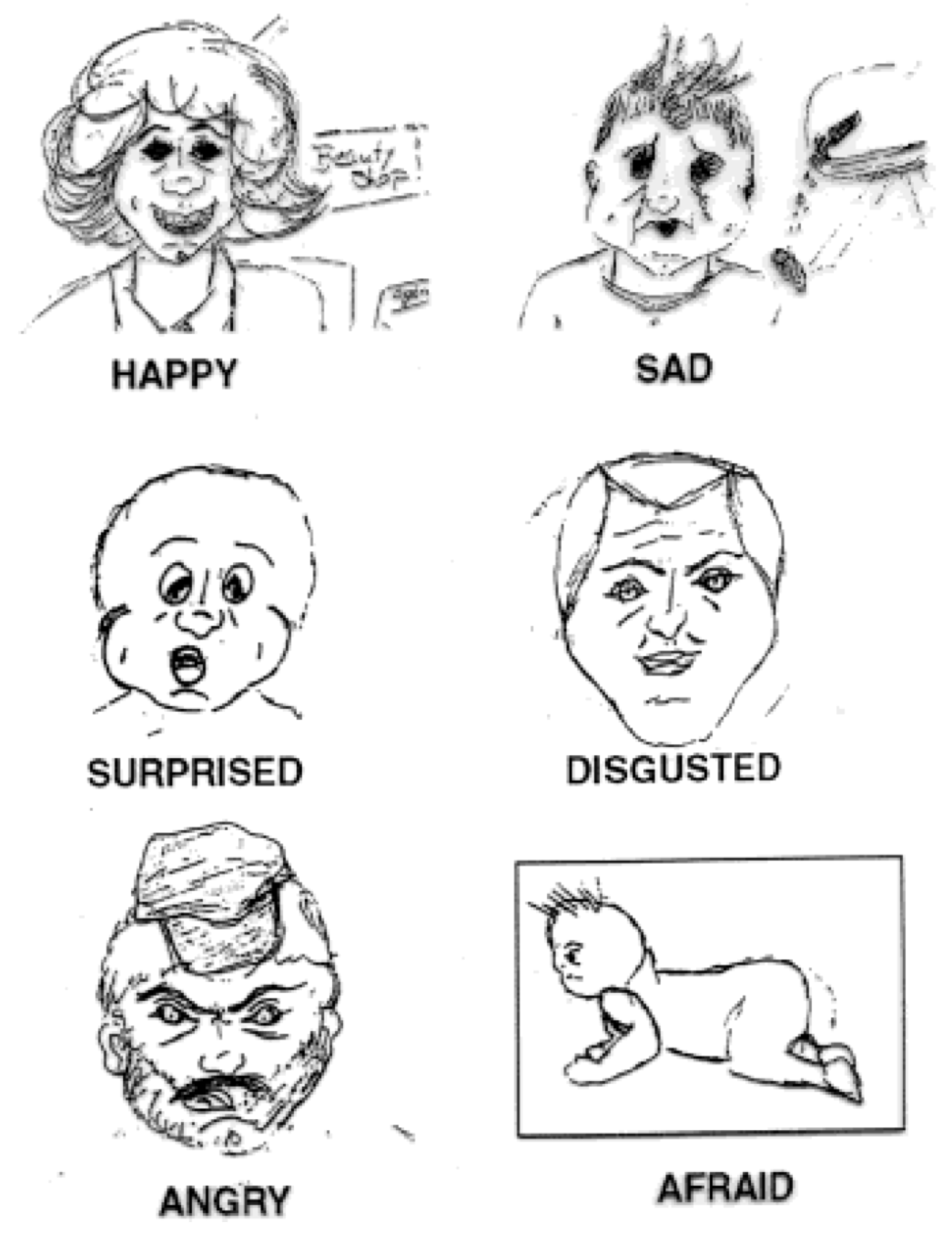 表情的涵义是如何被领会的