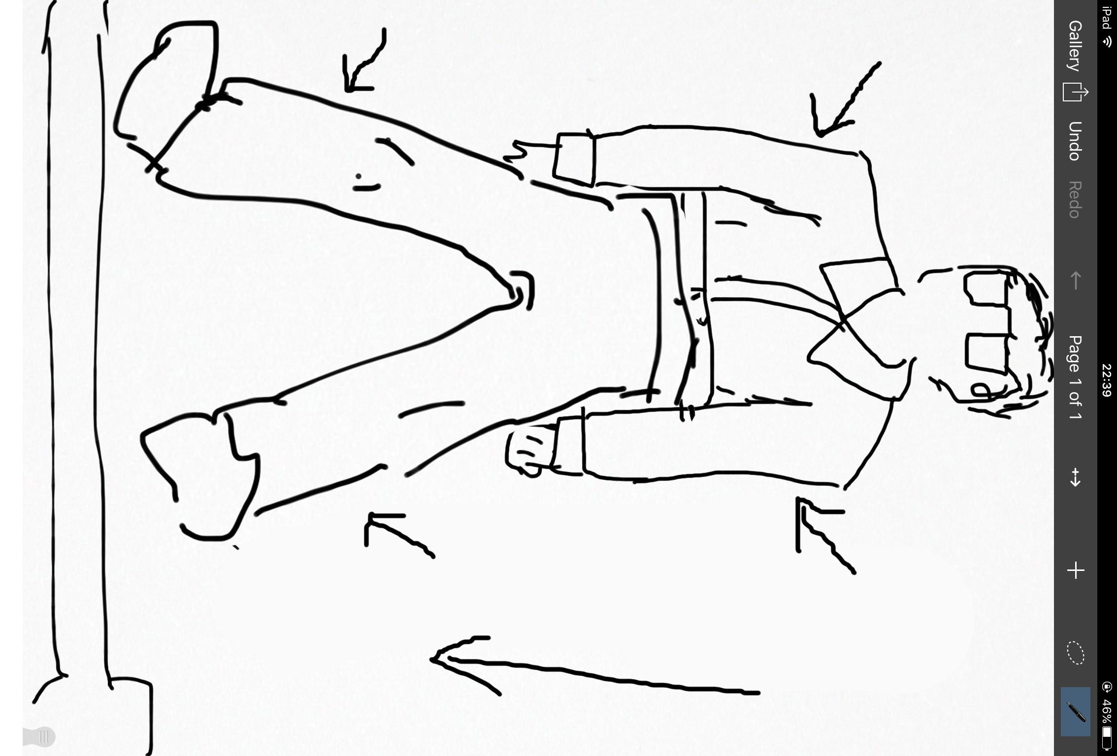 被阿鲁巴是怎样一种体验