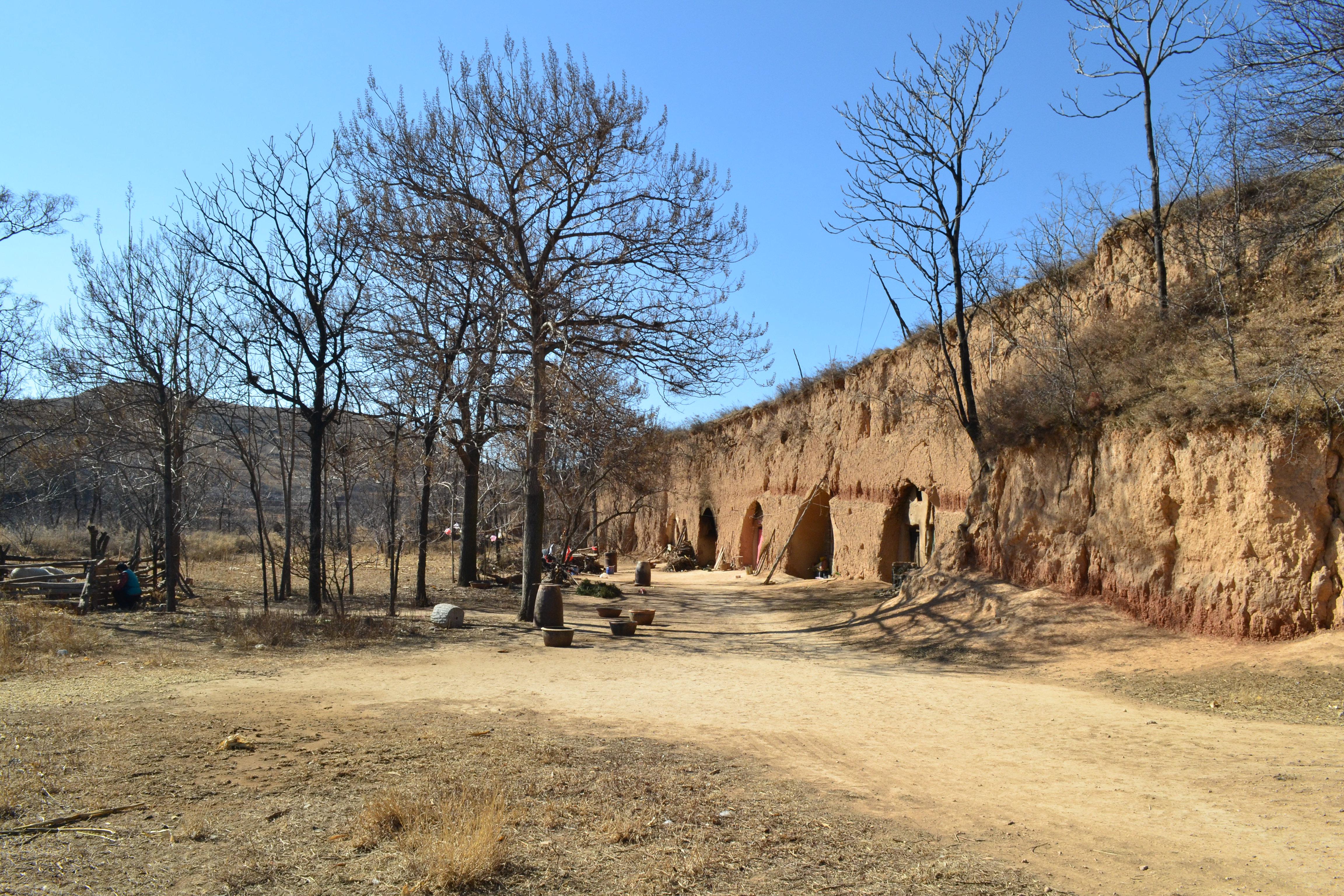 2016 年你所看到的中国农村大致是什么样子?