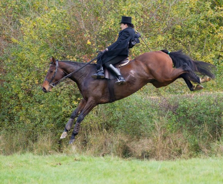很多欧美影视中贵族女子骑马都是侧骑的,侧骑是否比跨骑难得多?