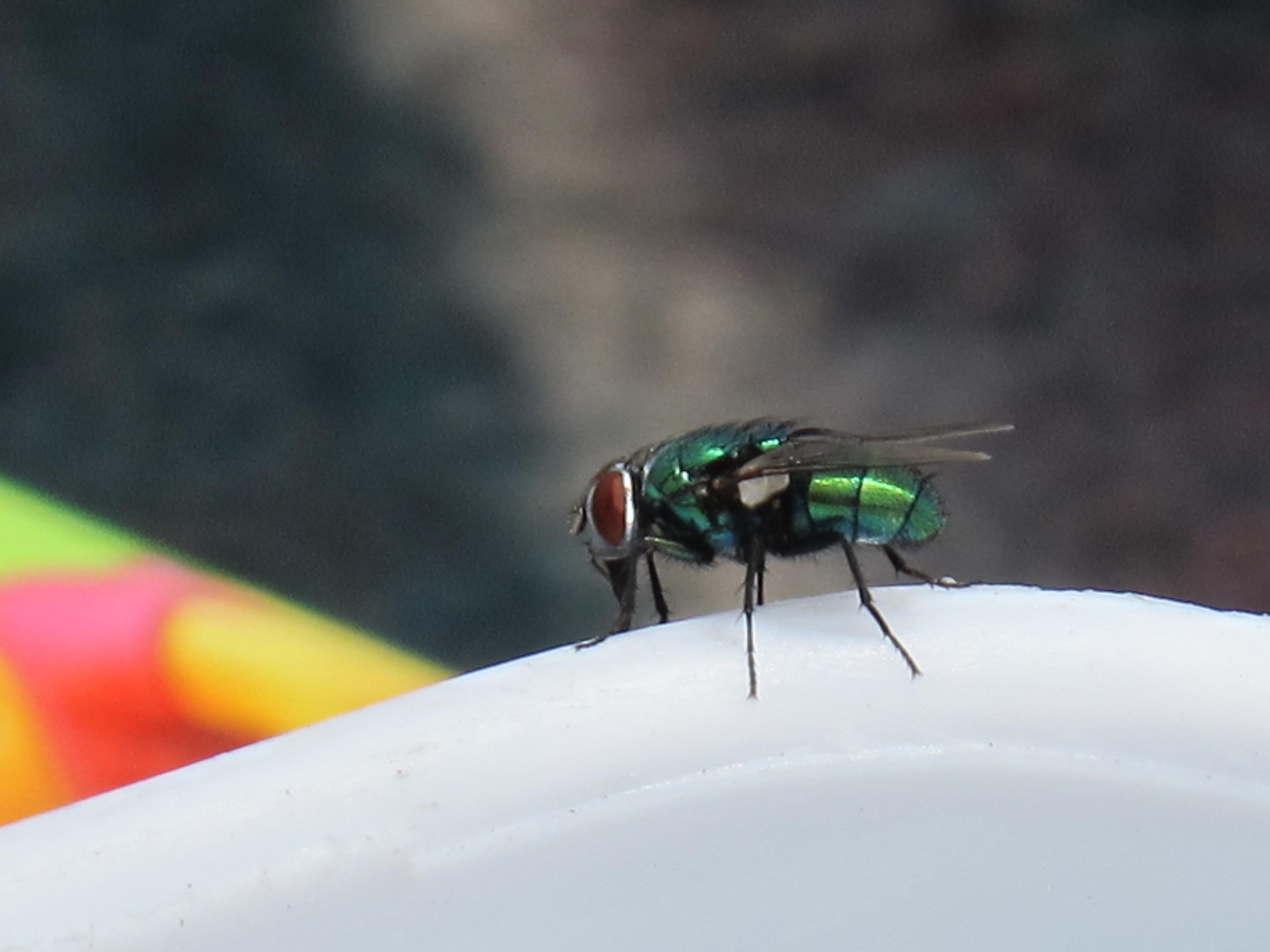 到非洲旅行带 8 岁小朋友同行有哪些需要注意的事项?