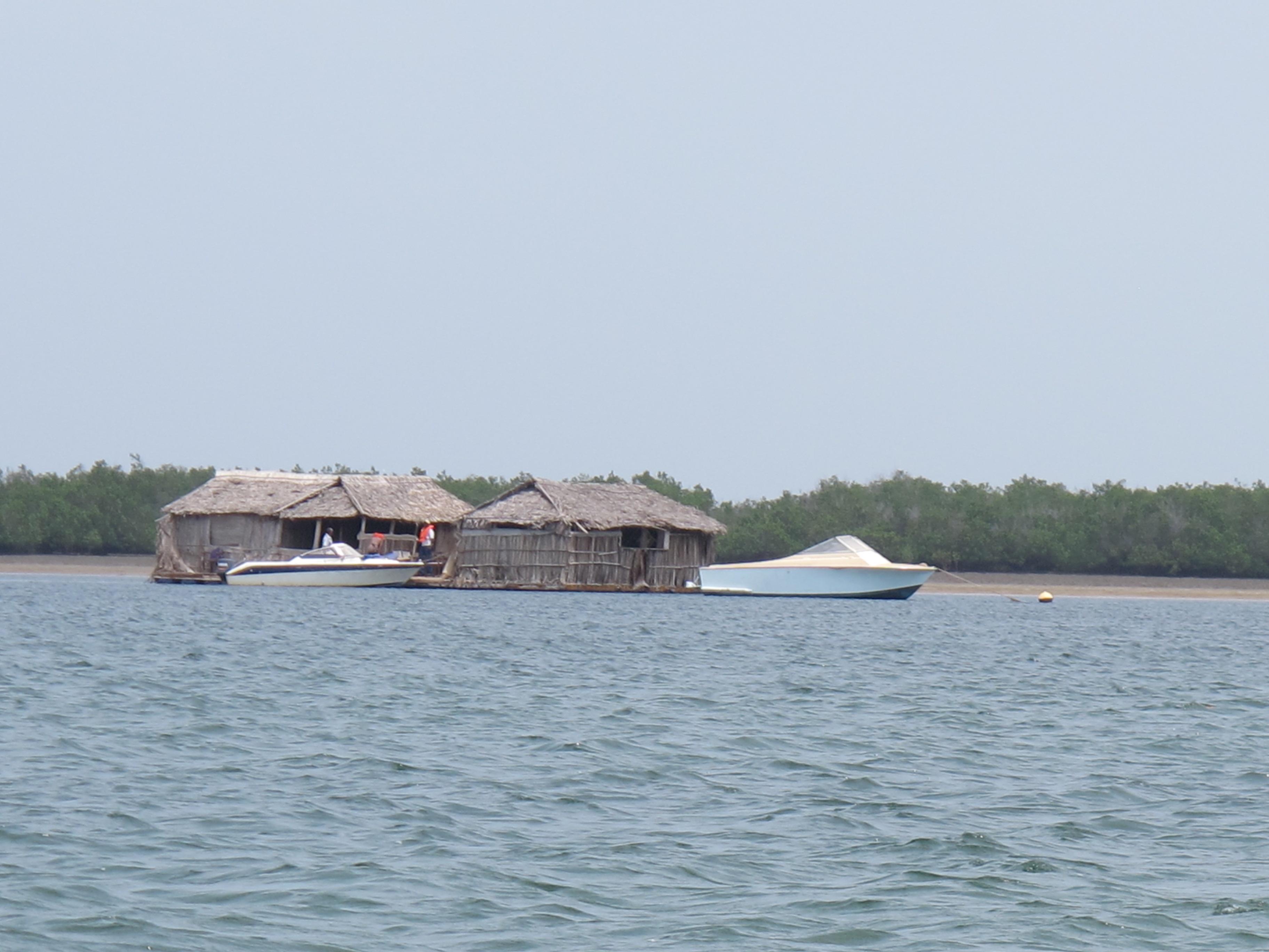 到非洲旅行带 8 岁小朋友同行有哪些需要注意的事项?