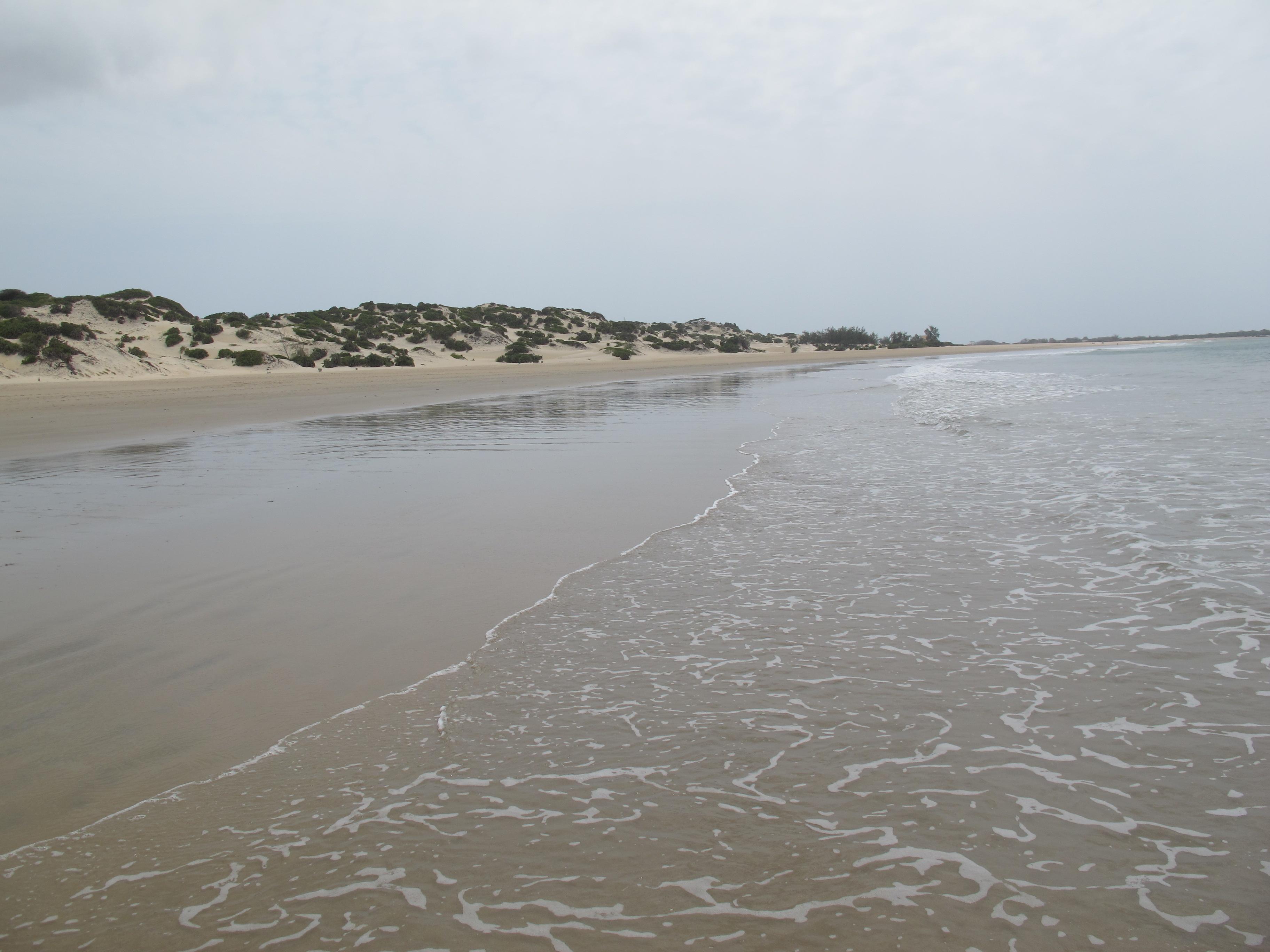 到非洲旅行带 8 岁小朋友同行有哪些需要注意的事项?