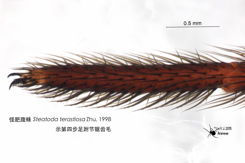 无学历的普通人发现了新物种，应该如何给它命名？ - 知乎