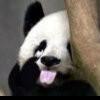 Zhihu profile picture for @inferior