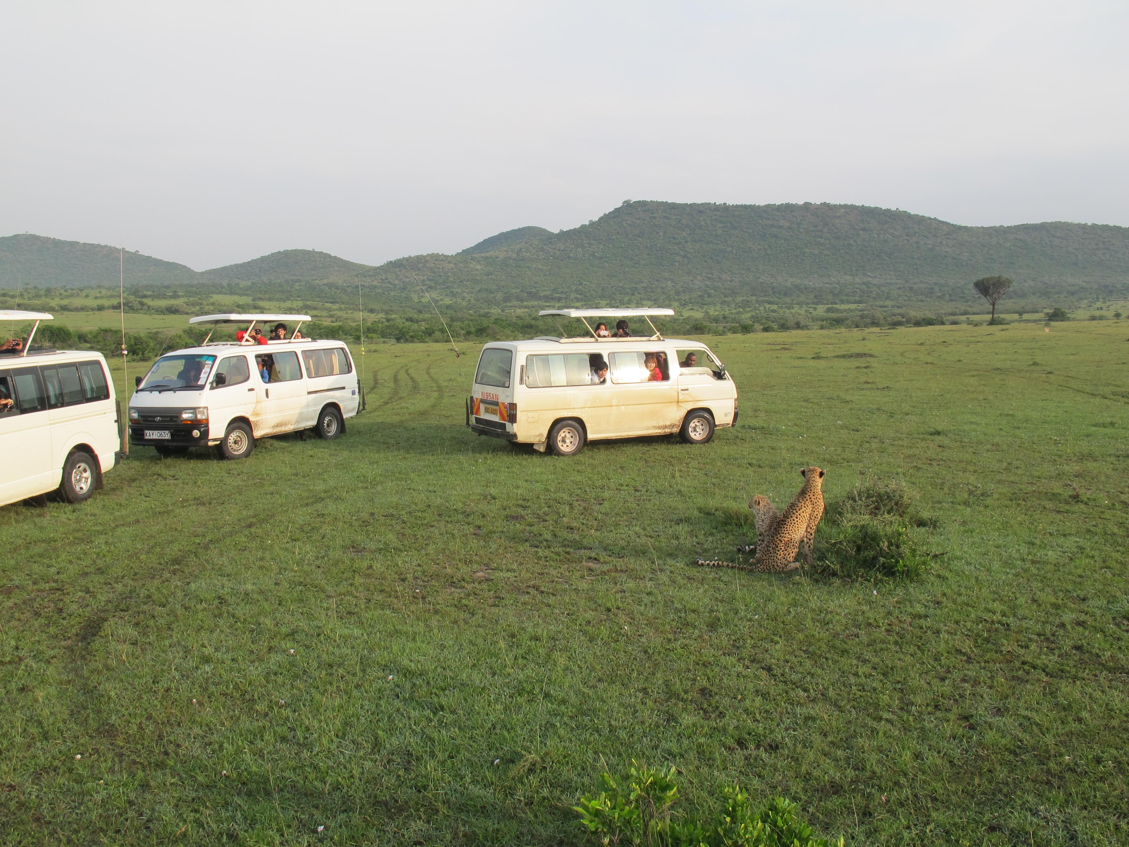 到非洲旅行带 8 岁小朋友同行有哪些需要注意的事项?