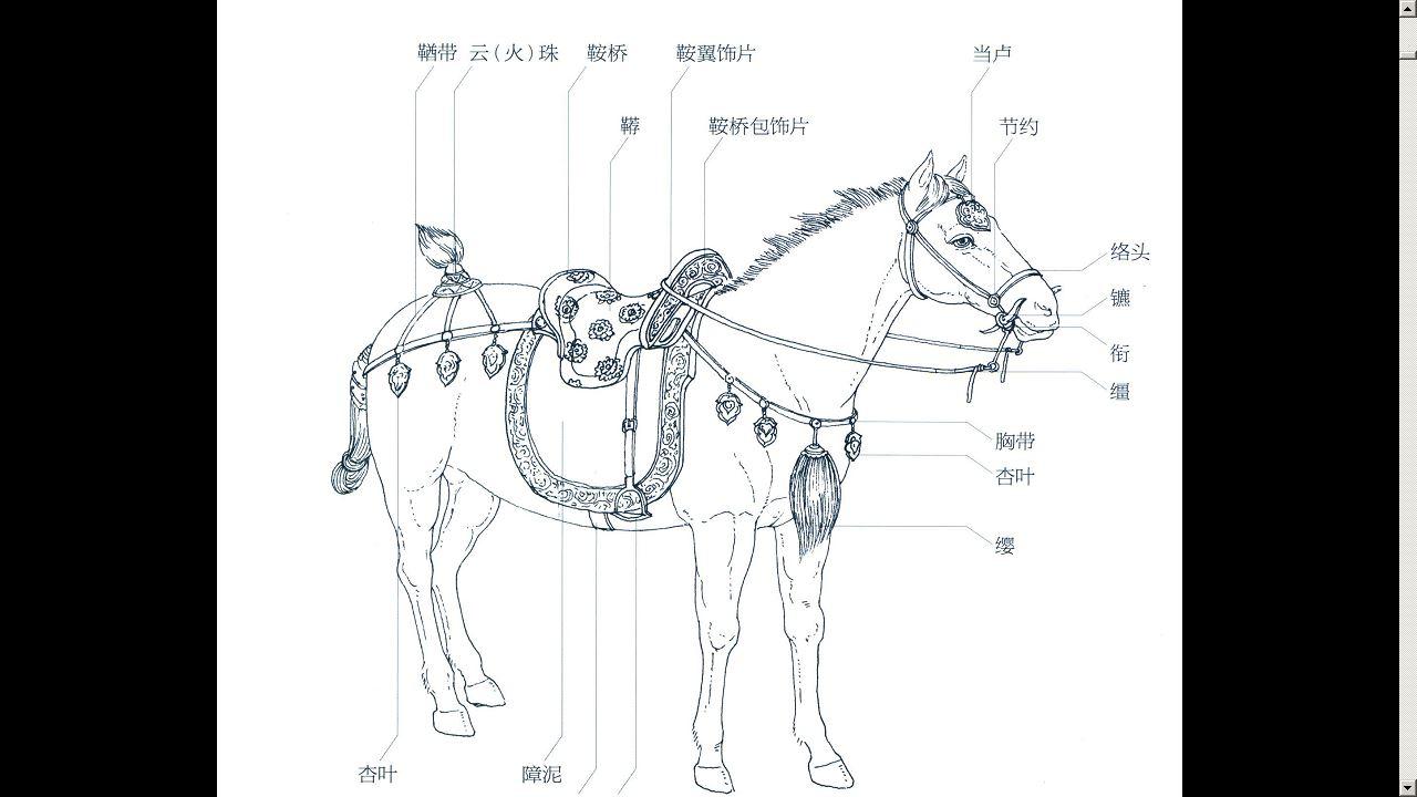 古代战马的装饰物都有哪些?尤其是头部,装饰有何特征? - 知乎