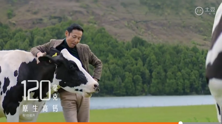 为什么陈道明给特仑苏做广告