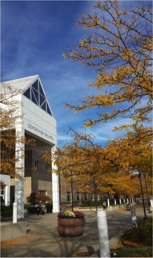 在纽约州立大学布法罗分校 (university at buffalo) 就读是怎样一番