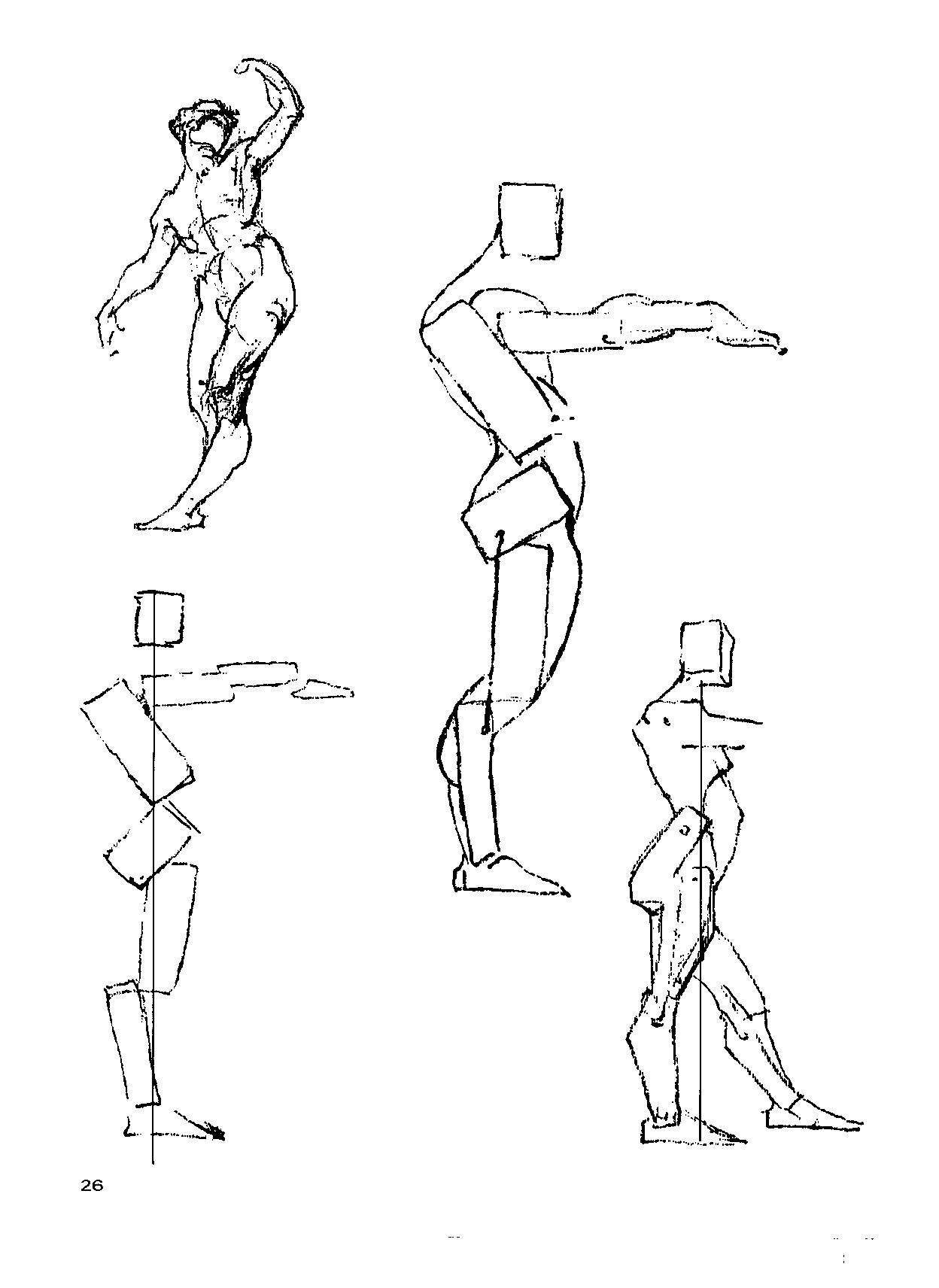 如何系统的练习人体?