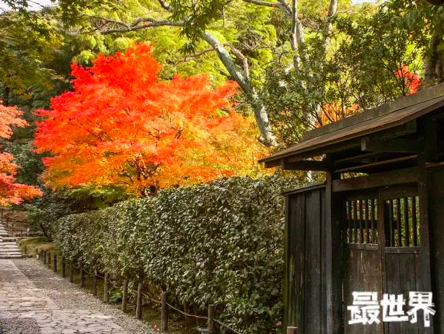 刺客聂隐娘里风景如画的取景地都在哪里