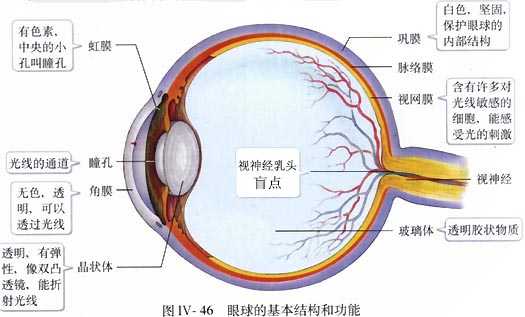 人的眼睛相当于什么参数的镜头？ - 知乎