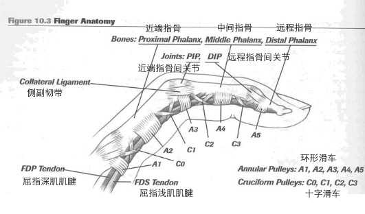 0c3f2bb0c2eb79ffc922d7441eec6118_720w.jpg?source=1def8aca