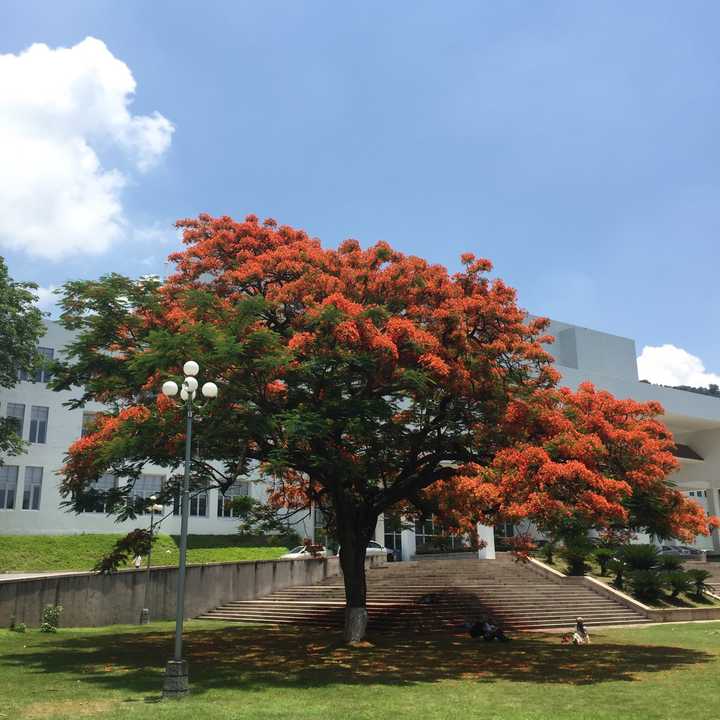 汕头开放学院怎么样_汕头开放大学是高职还是高技_汕头大学开放学院