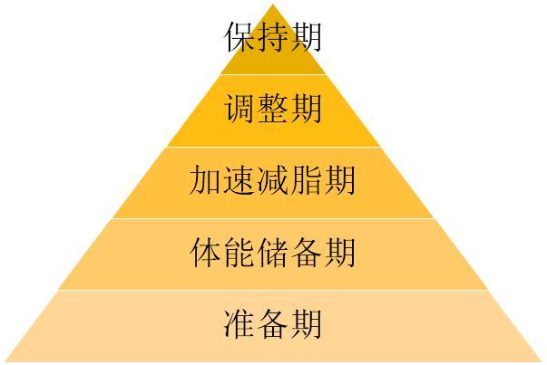 瘦弱实用的减肥措施_瘦弱减肥措施_瘦弱减肥的最佳措施