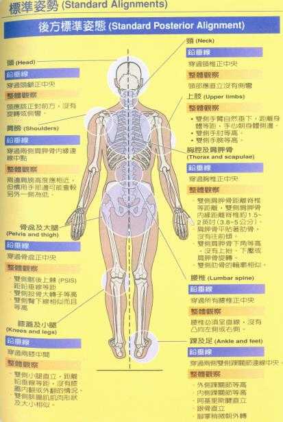 如何保持正确的站姿? - 知乎
