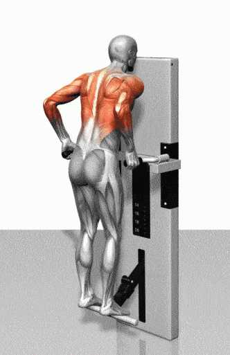 感觉拉单杠用不上力