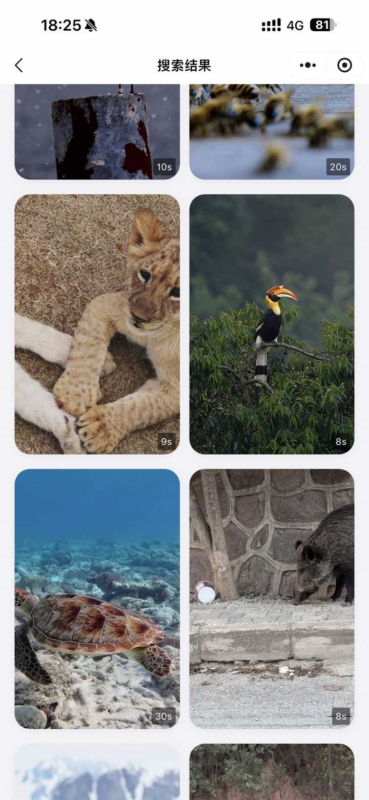 动物视频素材在哪找呀,无水印的那种? - 知乎