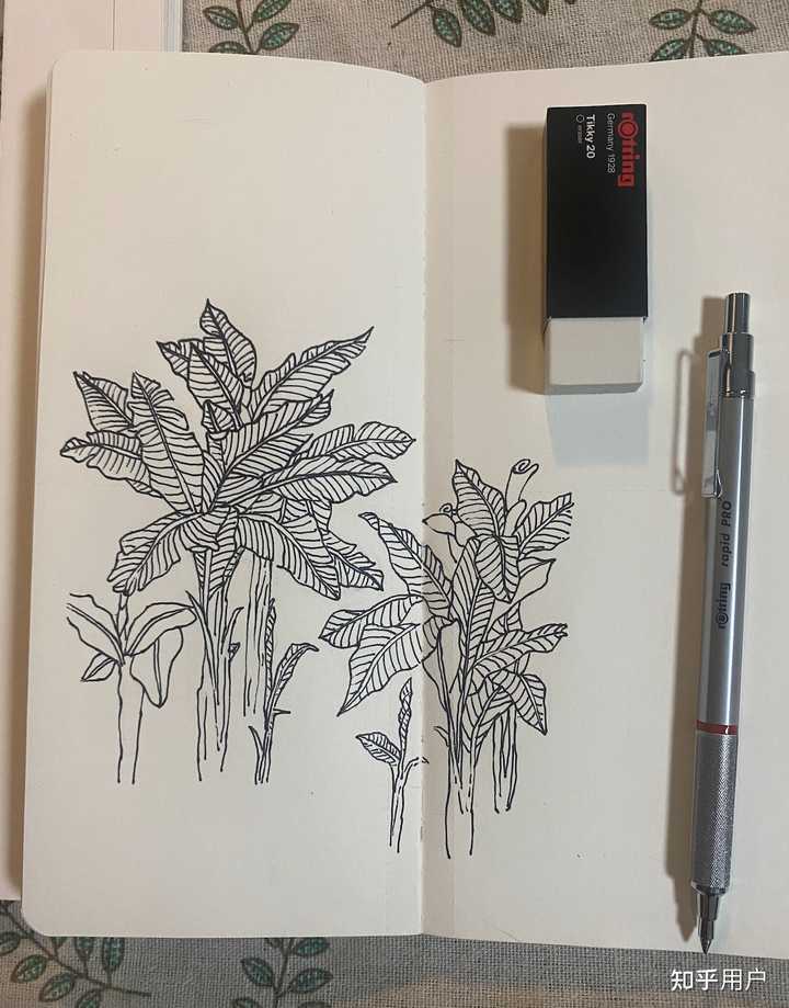 有哪些适合新手临摹的画？ - 知乎