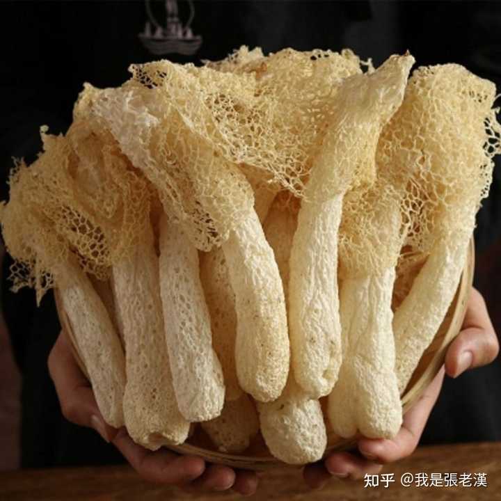 竹荪有什么营养价值? - 知乎