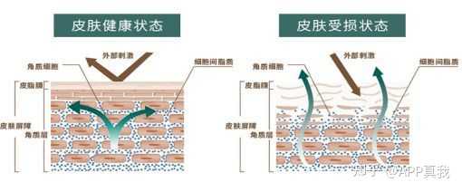 雪肌精化妆水和兰蔻粉水_美肤水化妆品是正品吗_化妆水健康水