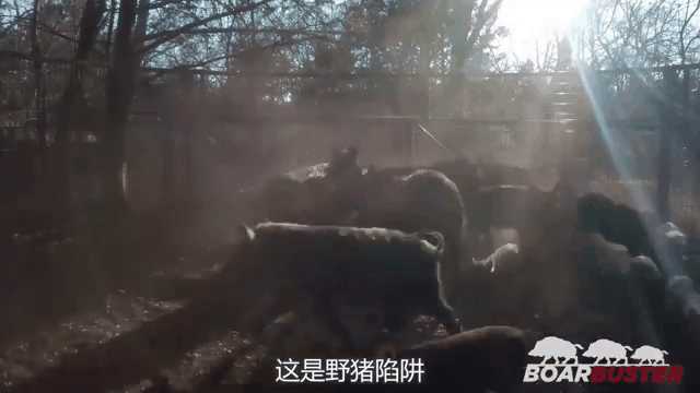 动图封面