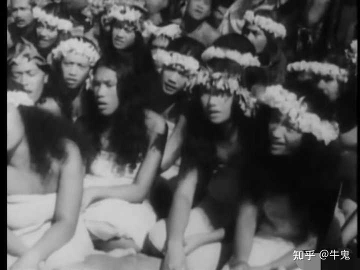 毛利人到底是从台湾还是澳大利亚迁徙的? 知乎