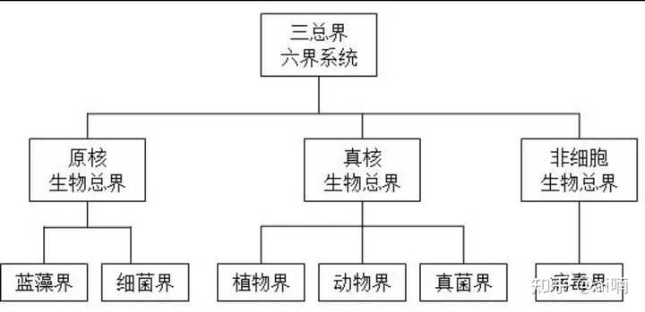 域、界、门、纲、目、科、属、种,生物学还有哪些是我们所不知道的么? - 知乎