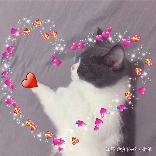 減肥藥物前十名_藥物減肥_內分泌減肥藥物