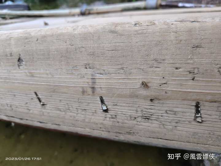 古代没有焊接技术,那古代造船是怎么保证船不漏水的呢? - 知乎