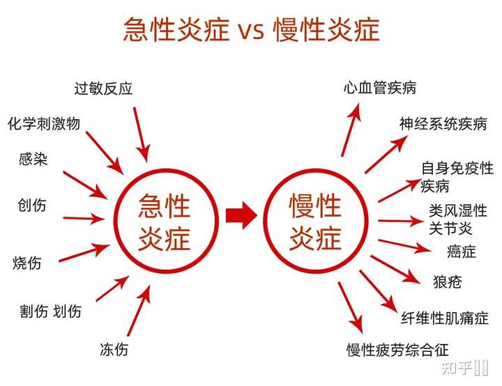 上火和发炎是一回事么? - 知乎