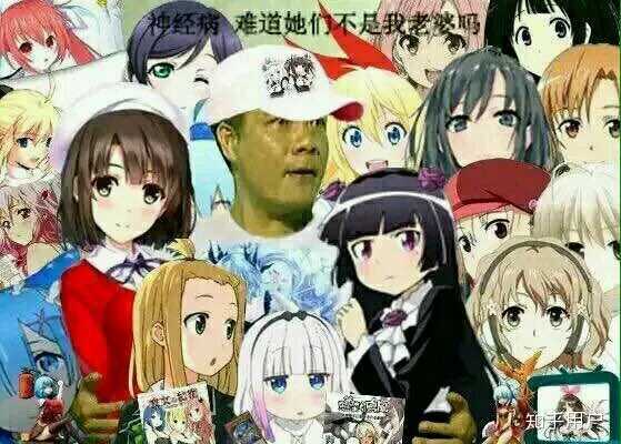 如何评价苍崎青子？ - 知乎
