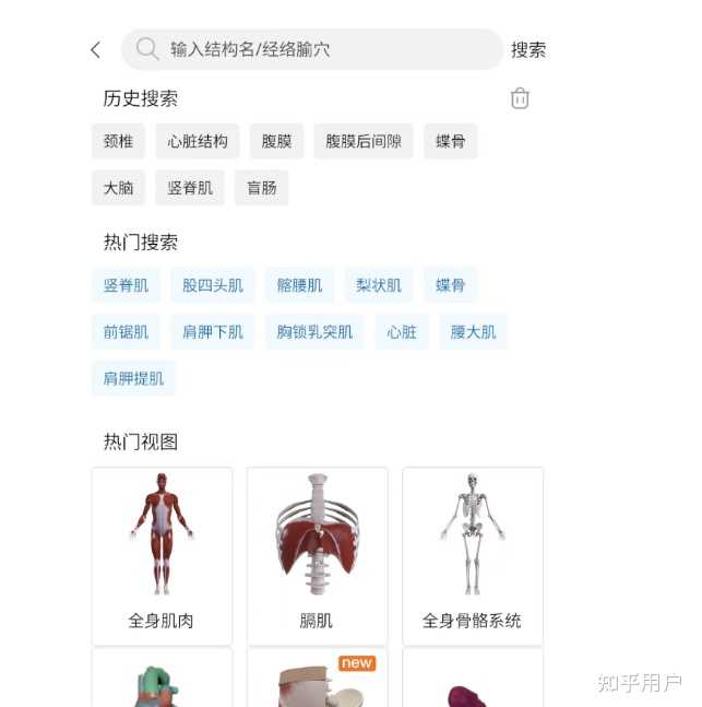 国内最好的解剖软件是3Dbody吗？ - 知乎