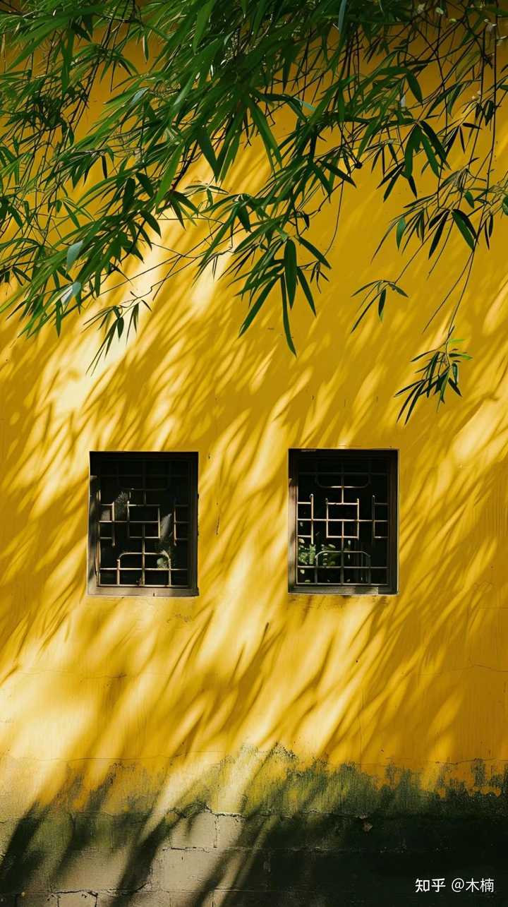 这段日子，有哪句话曾经击中过你的内心？ - 木楠的回答- 知乎