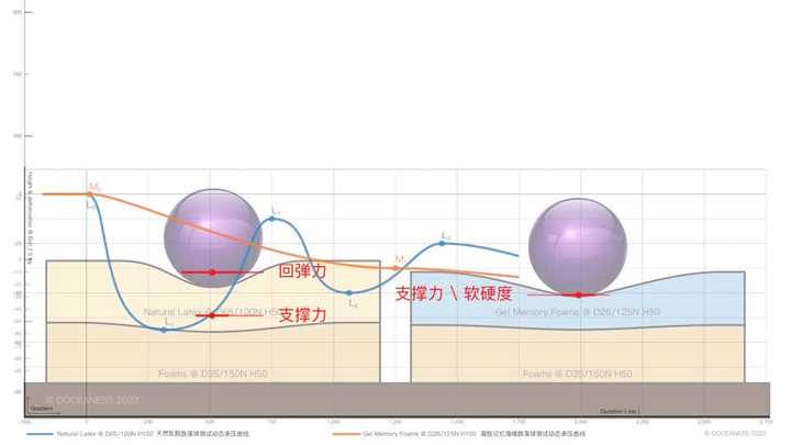 如何确定床垫的软硬度是否适合自己？
