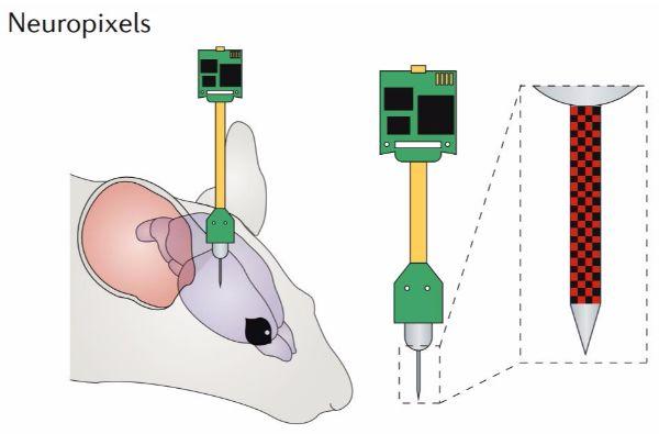 EIC Biomedical