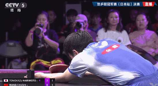 动图封面