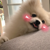 小不