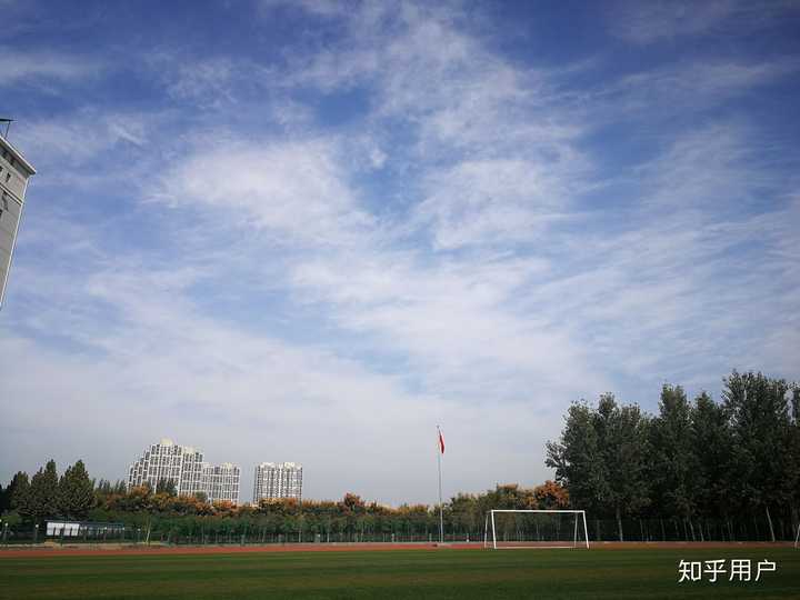 动物医学是个垃圾_医学垃圾怎么处理_医学垃圾五大类