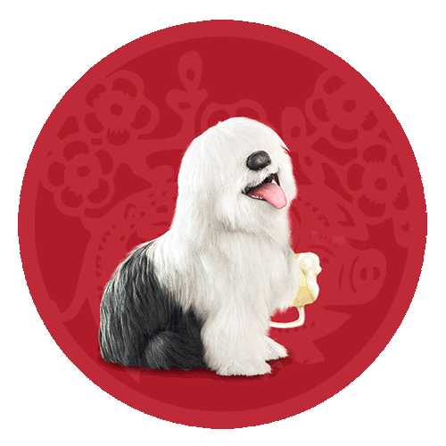 多乐士广告里的那条狗叫什么名字