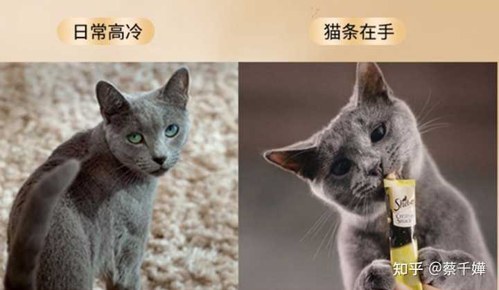 能提高家庭幸福感的好物 能提高家庭幸福感的好物